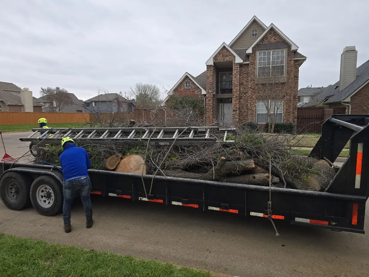 Expert Tree Fertilization with proper safety equipment in Dix